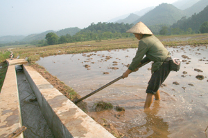 Dự án Giảm nghèo giai đoạn 2 đầu tư hệ thống kênh mương nội đồng xã Piềng Vế (Mai Châu) phục vụ sản xuất nông nghiệp.